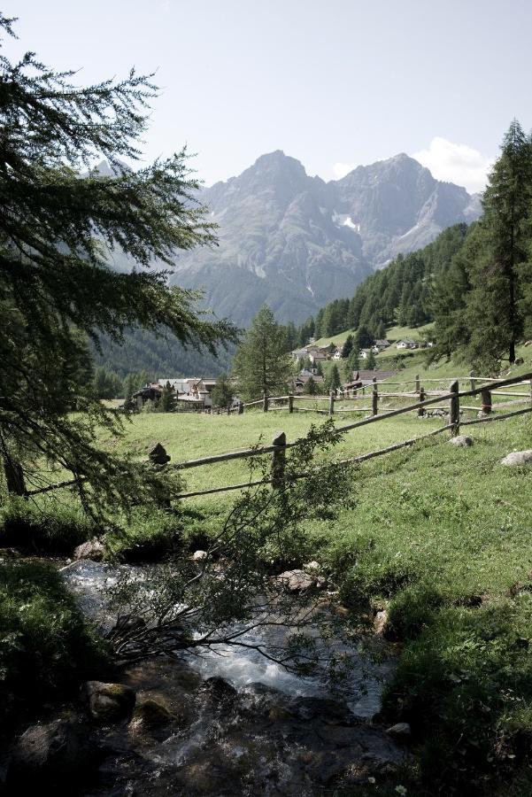 Alpengasthof Crusch Alba Ed Alvetern, S-Charl ชกูอล ภายนอก รูปภาพ